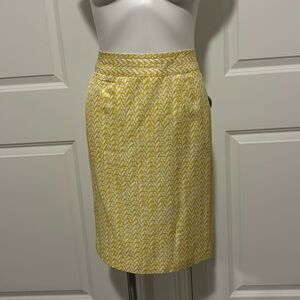Banana Republic skirt